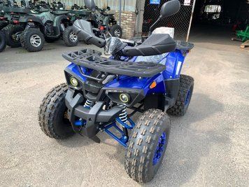 Квадроцикл EXDRIVE 125 12095 фото