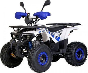 Квадроцикл Forte 125 ATV-B 12047 фото