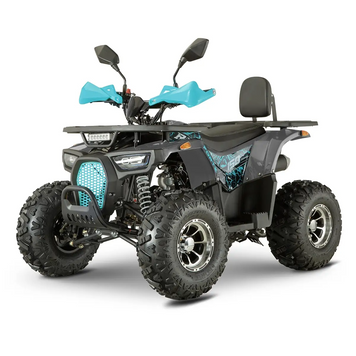Квадроцикл Forte ATV 150 P 12058 фото