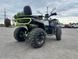 Квадроцикл Forte AFC 250 PRO 12059 фото 3