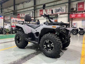 Квадроцикл Forte ATV 300BS 12061 фото