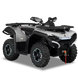 Квадроцикл HISUN GUARDIAN 550 116127 фото 1